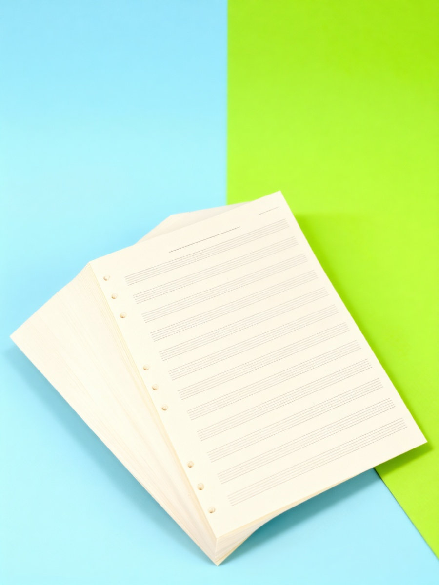 100 folhas de papel para parti - Blank Sheet Music Notebook avaliação e preço